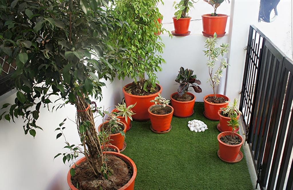 Lassi Guest House Udaipur Exterior photo
